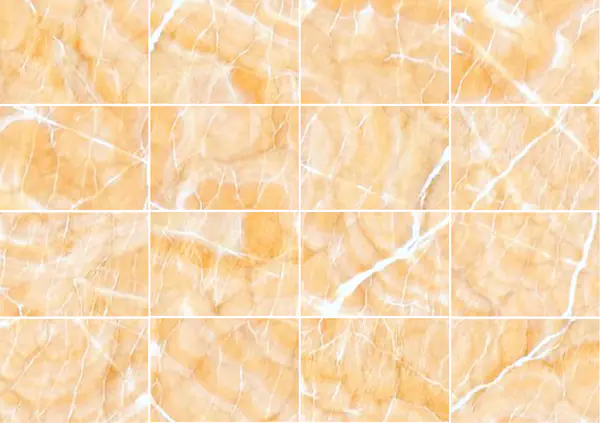 أفريكان صن أونيكس ساوث مطابقة كتاب مفتوح