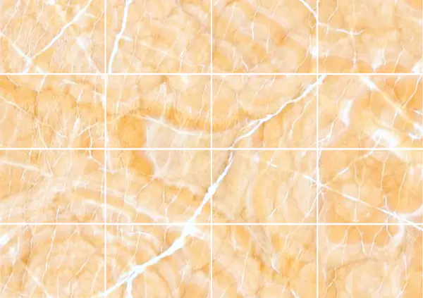 أفريكان صن أونيكس ساوث مطابقة كتاب مزدوج مفتوح