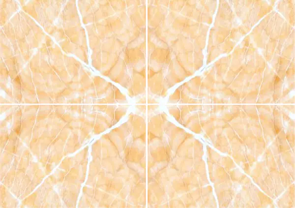 أفريكان صن أونيكس ساوث عروق غير متطابقة