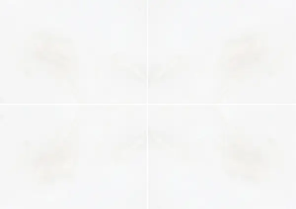 رخام أبيض أفيو التركي عروق متتابعة