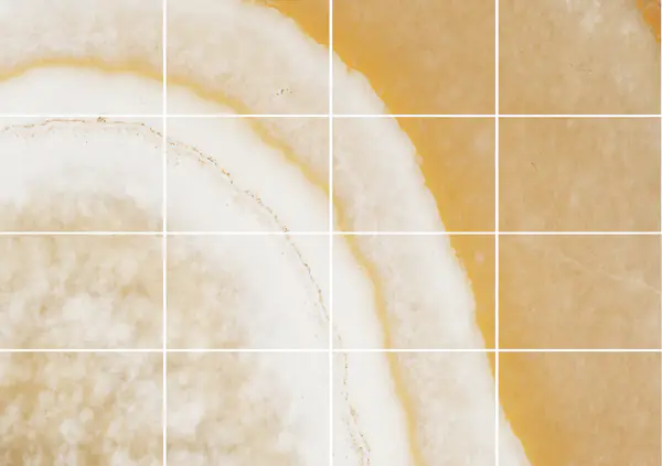 ألاباسترو كوتونينو أونيكس مصري مطابقة ربع كتاب