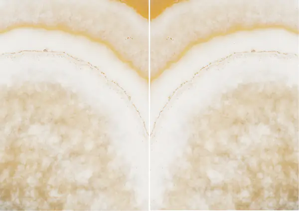 ألاباسترو كوتونينو أونيكس مصري مطابقة ربع كتاب