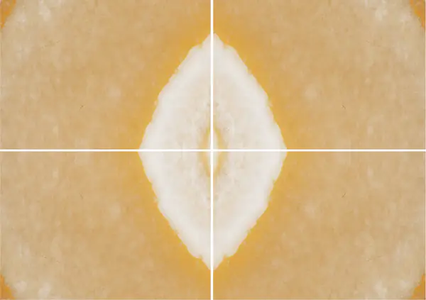 ألاباسترو كوتونينو أونيكس مصري عروق غير متطابقة