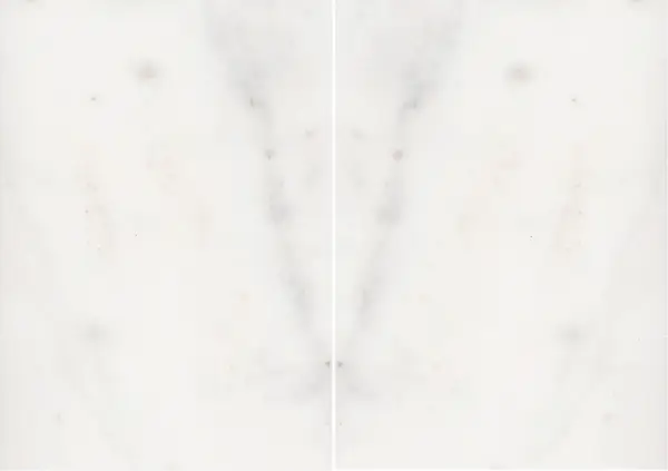 رخام ألاباجي الأبيض الهندي مطابقة ربع كتاب