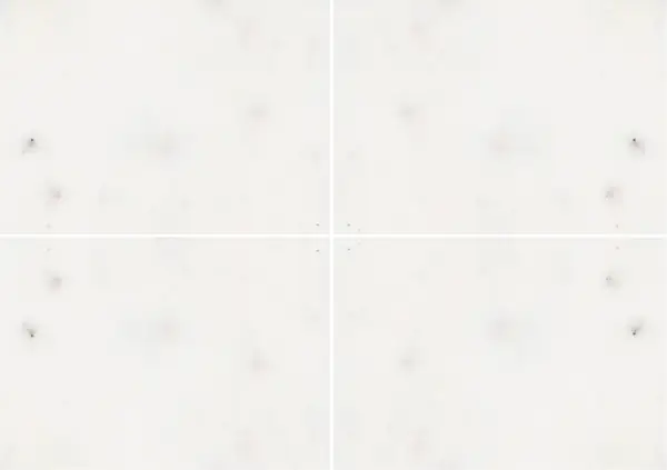 رخام ألاباجي الأبيض الهندي عروق غير متطابقة