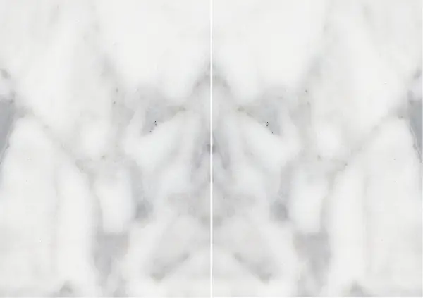 رخام أرابيسكاتو كلاسيكو الإيطالي مطابقة ربع كتاب