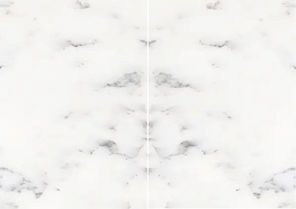 رخام إيطالي أرابيسكاتو فانييلو مطابقة ربع كتاب