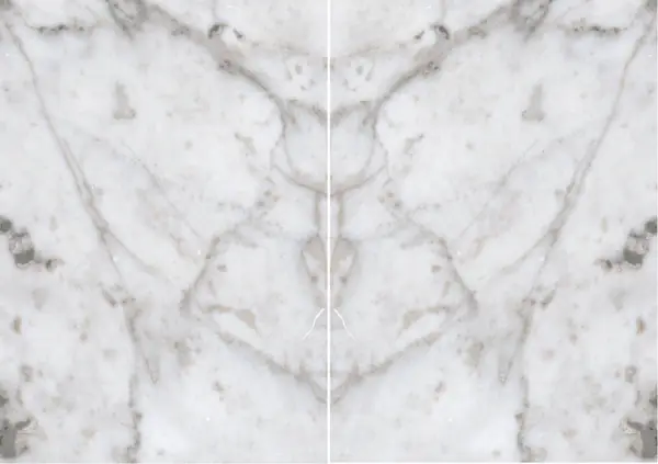 رخام أرابيسكاتو أوغليانو الإيطالي مطابقة ربع كتاب