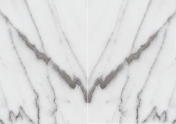 رخام إيطالي أرابيسكاتو فيناتو مطابقة ربع كتاب