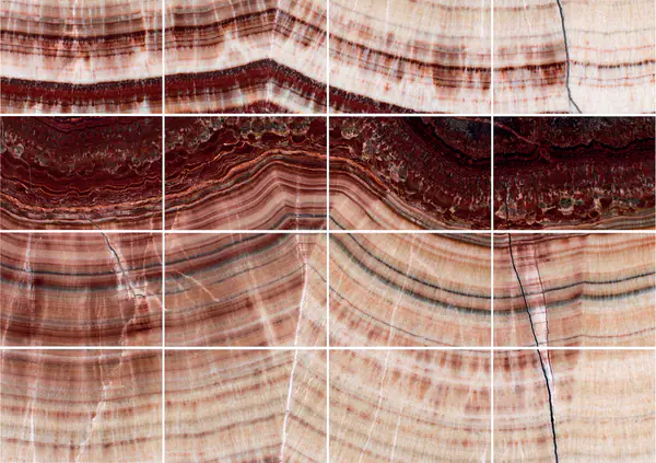 أركوبالينو ريد أونيكس تركي مطابقة كتاب مزدوج مفتوح