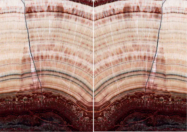 أركوبالينو ريد أونيكس تركي مطابقة ربع كتاب