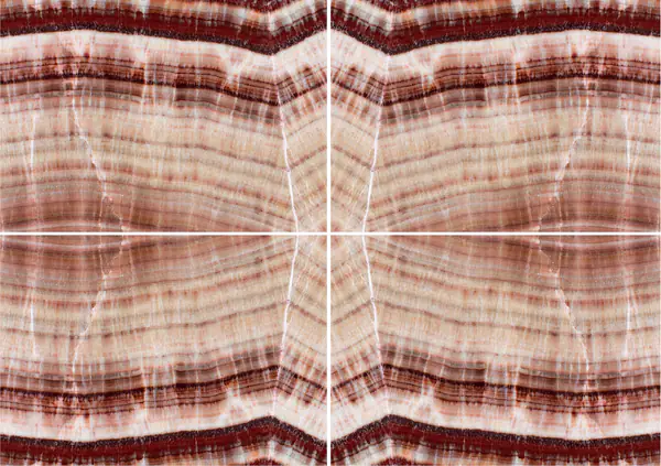 أركوبالينو ريد أونيكس تركي عروق غير متطابقة