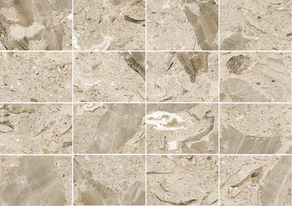 رخام أوريزينا فيوريتا الإيطالي مطابقة كتاب مفتوح