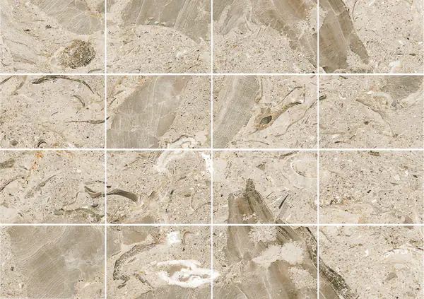 رخام أوريزينا فيوريتا الإيطالي مطابقة كتاب مزدوج مفتوح