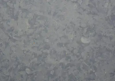 azul valverde portuguese limestone