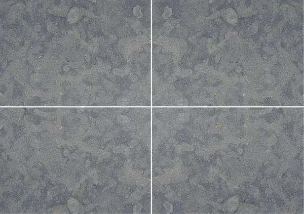 حجر جيري برتغالي أزول فالفيردي عروق متتابعة