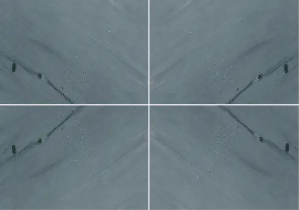 رخام برديليو إمبريالي الإيطالي عروق متتابعة