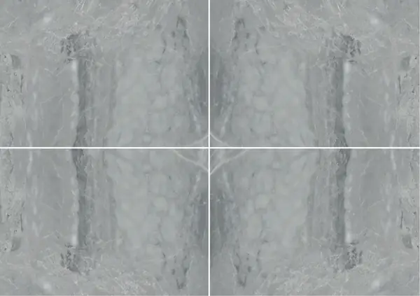 رخام برديليو فاجلي الإيطالي عروق متتابعة