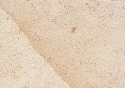 beauharnais french limestone