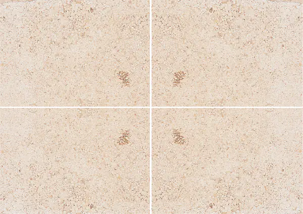 حجر جيري فرنسي من بوهارنيه عروق غير متطابقة