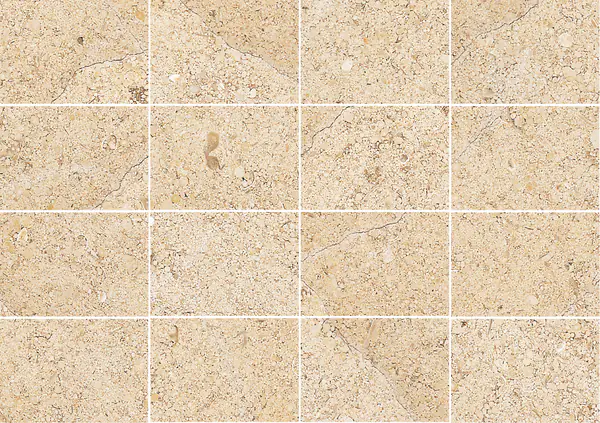 حجر جيري فرنسي من بورنييه مطابقة كتاب مفتوح