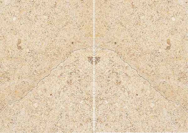 حجر جيري فرنسي من بورنييه مطابقة ربع كتاب