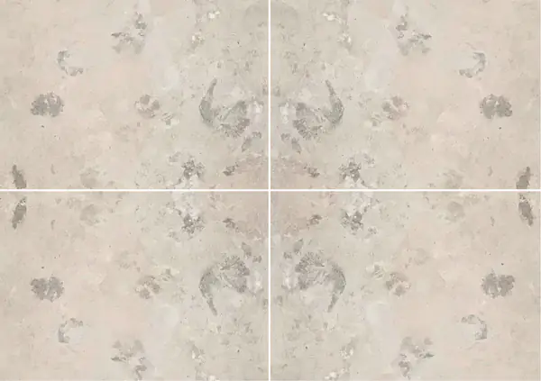 حجر جيري فرنسي من بيلمونت عروق متتابعة