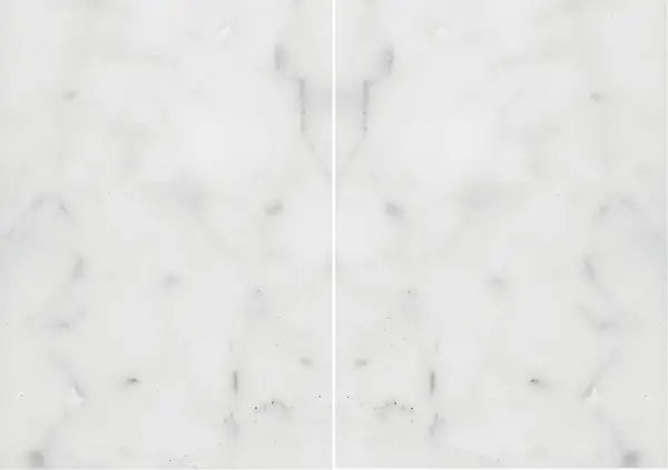 رخام بيانكو كارارا سي الإيطالي مطابقة ربع كتاب