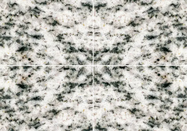 جرانيت حلايب المصري بيانكو عروق متتابعة