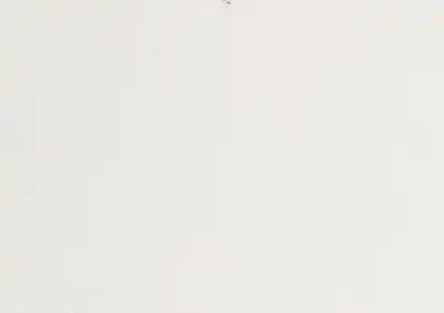 bianco lasa classico italian marble