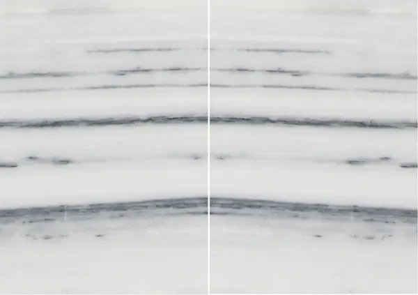 رخام بيانكو لاسا فيناتو الإيطالي مطابقة ربع كتاب