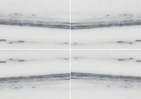 رخام بيانكو لاسا فيناتو الإيطالي عروق متتابعة