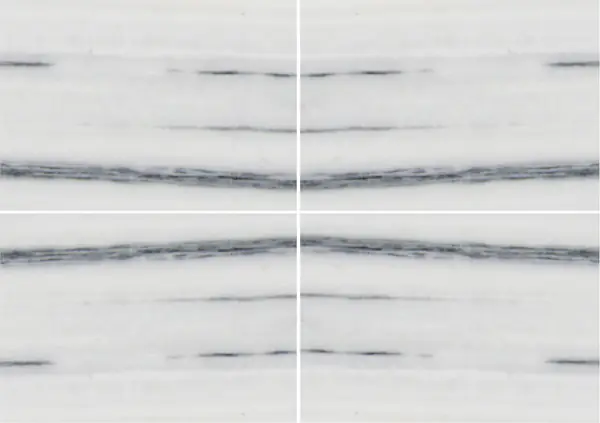 رخام بيانكو لاسا فيناتو الإيطالي عروق غير متطابقة