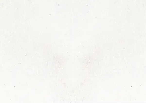 رخام بيانكو ناكسوس اليوناني مطابقة ربع كتاب