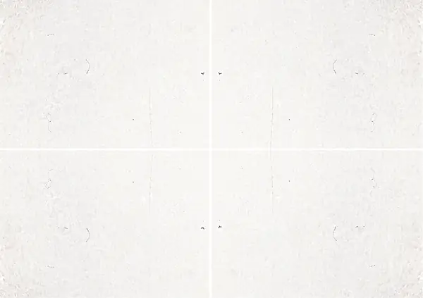 رخام بيانكو ناكسوس اليوناني عروق غير متطابقة