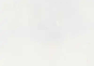 bianco p italian marble