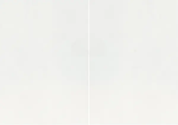 رخام بيانكو بي الإيطالي مطابقة ربع كتاب