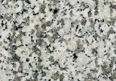 bianco sardo perla italian granite