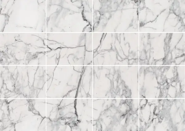 رخام بيانكو فيناتينو الإيطالي مطابقة كتاب مزدوج مفتوح