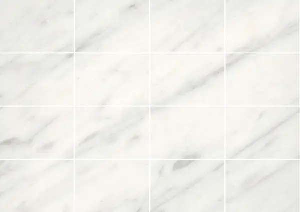 رخام بيانكو فيناتو جيويا الإيطالي مطابقة ربع كتاب