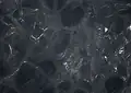Black Diamond Brazilian Quartzite
