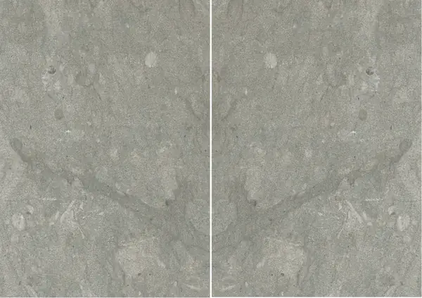 حجر جيري فرنسي بلو فلوري مطابقة ربع كتاب