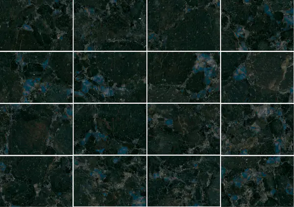 جرانيت الفراشة الزرقاء الصيني مطابقة كتاب مفتوح