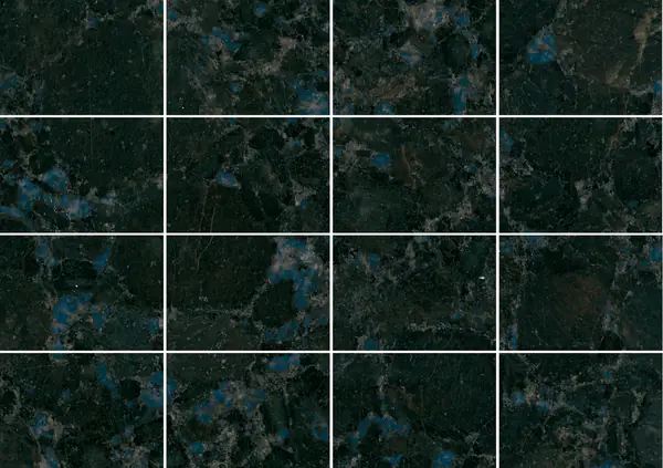 جرانيت الفراشة الزرقاء الصيني مطابقة ربع كتاب