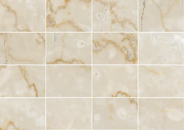 رخام بوتيتشينو كلاسيكو الإيطالي مطابقة كتاب مفتوح