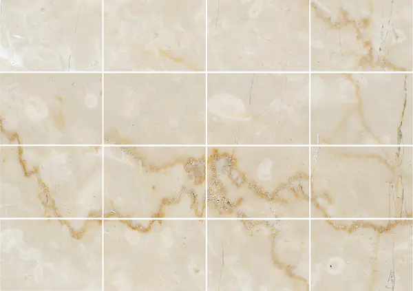 رخام بوتيتشينو كلاسيكو الإيطالي مطابقة كتاب مزدوج مفتوح