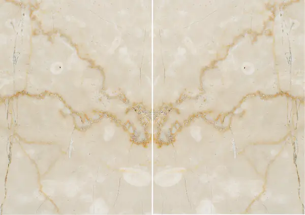 رخام بوتيتشينو كلاسيكو الإيطالي مطابقة ربع كتاب