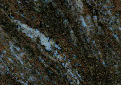 brass blue indian granite