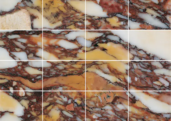 رخام بريشيا كولوراتا أنتيكا الإيطالي مطابقة كتاب مزدوج مفتوح