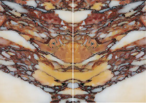 رخام بريشيا كولوراتا أنتيكا الإيطالي مطابقة ربع كتاب